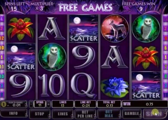 panther-moon-scatter