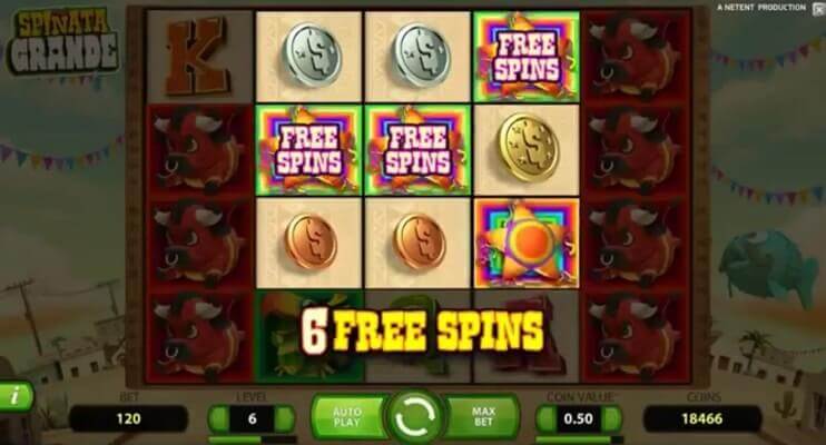 spinata-grande-spins