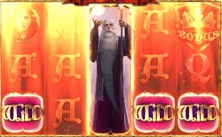 wild-symbol-expanded