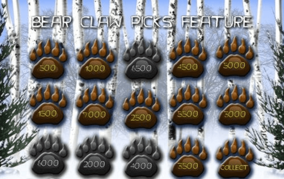 tiger-vs-bear-feature